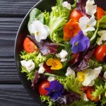 naturopathie